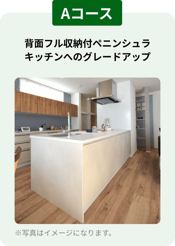 特別キャンペーンAコース